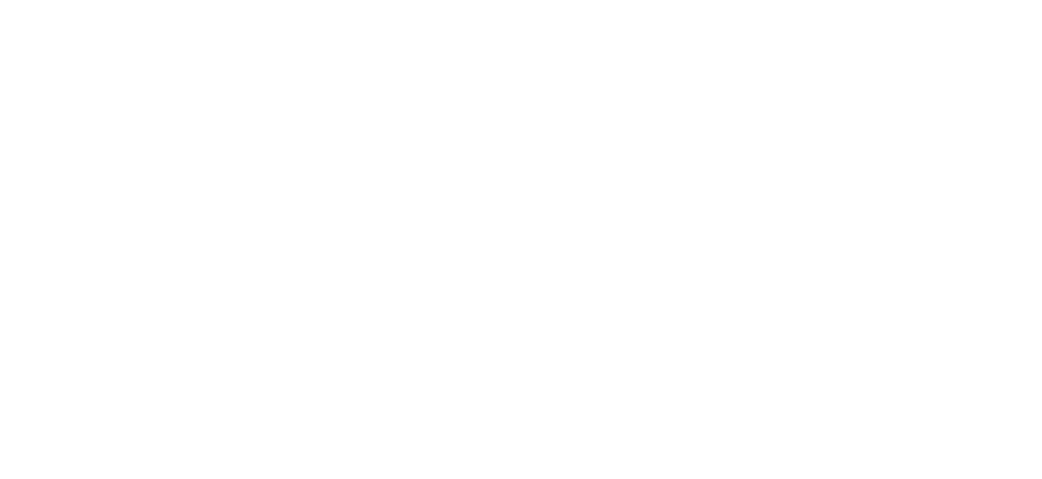 CapitalTechies_Logo_White_NoTagline